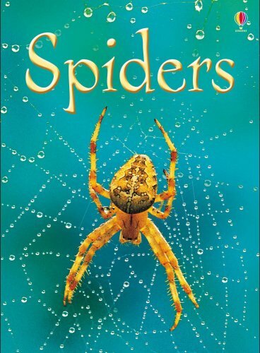 Spiders (Usborne Beginners) (Usborne Beginners) By Rebecca Gilpi