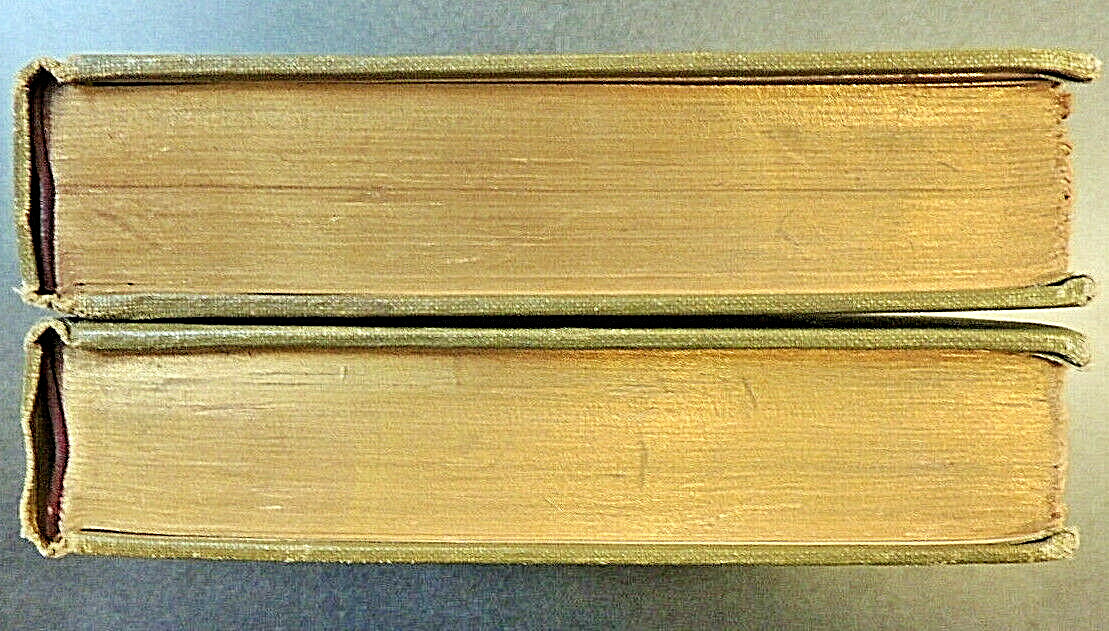 2 Vol Set: David Copperfield Complete Volumes 1-2 Decorative Binding Dickens