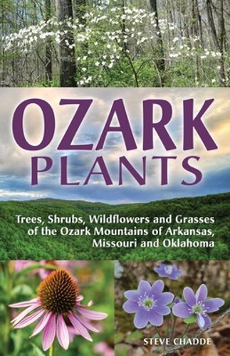 Ozark Plants by Steve Chadde: New