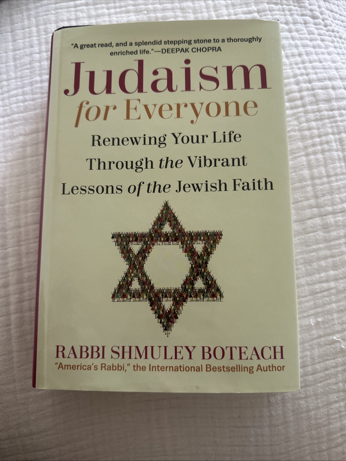 Judaism for Everyone: Renewing Your Life Through the Vibrant Lessons of the Jewi