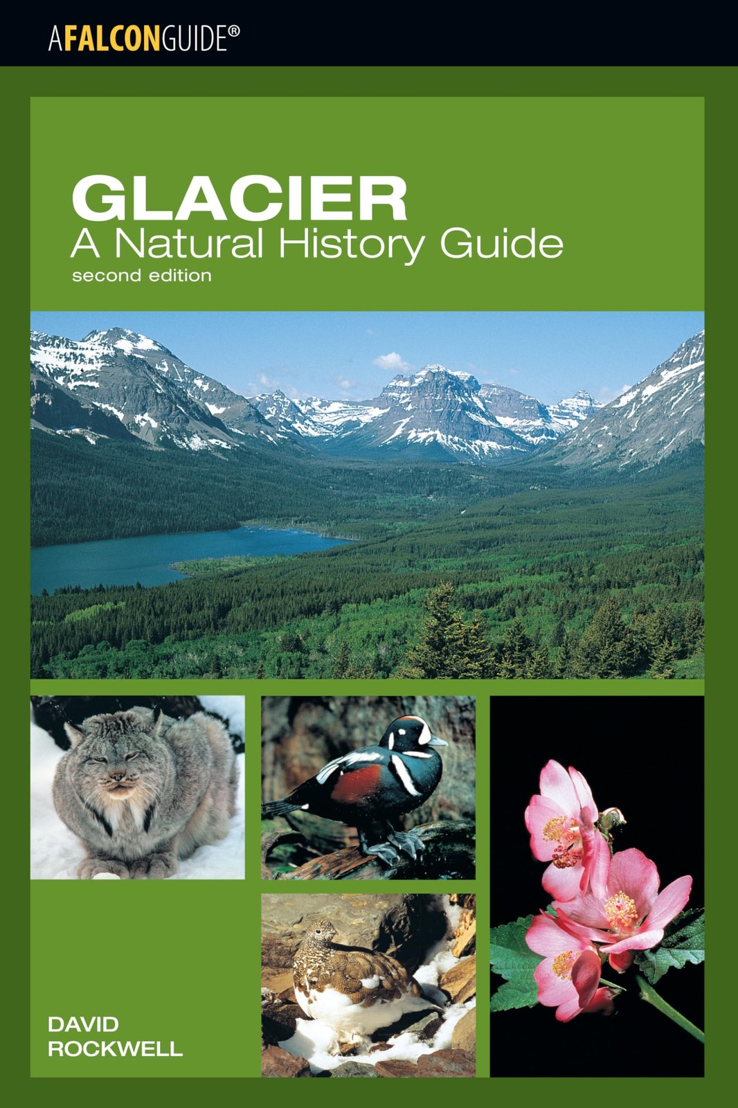 Glacier: A Natural History Guide (Falcon Guide) – Rockwell, David – Good – S…