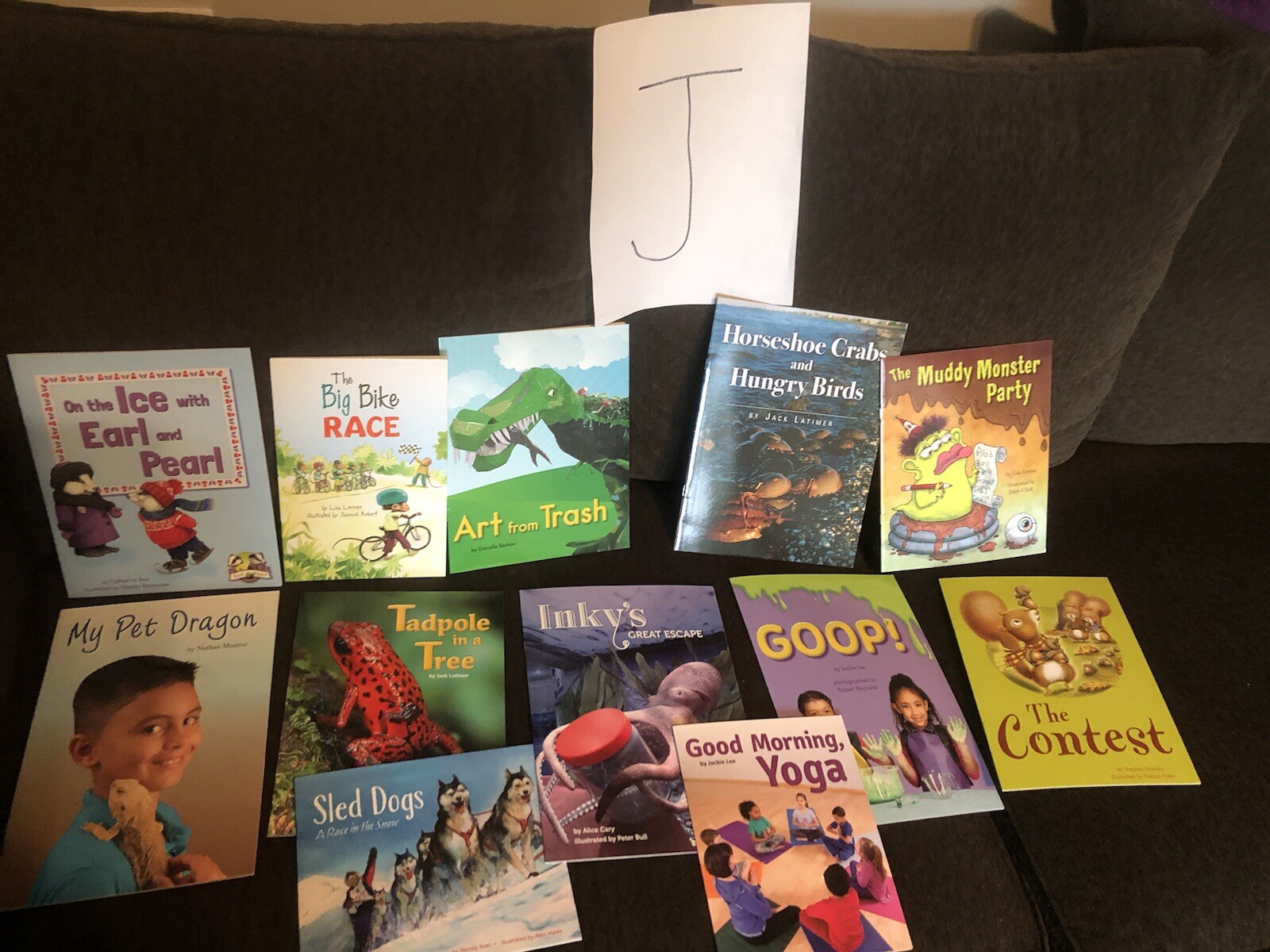10 Books $15. Second Grade Reading Level TEACHER/SCHOOL LITERACY Free Ship