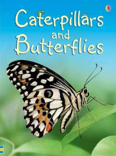 Caterpillars and Butterflies – Hardcover, by Turnbull Stephanie – Very Good