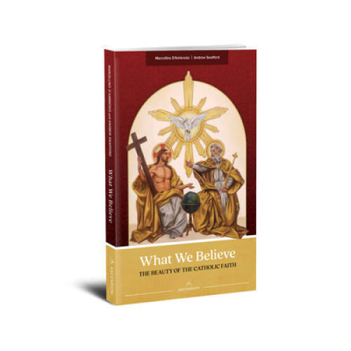 What We Believe: The Beauty of the Catholic Faith – Paperback – GOOD
