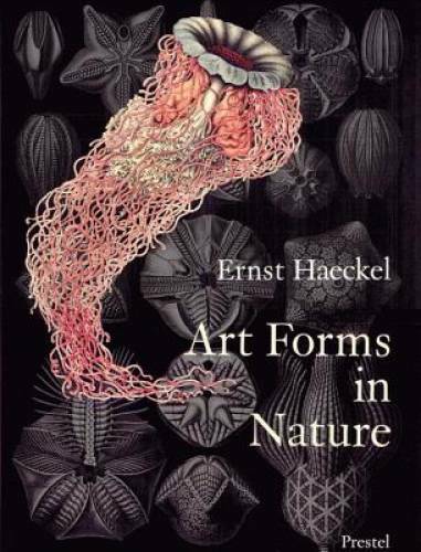 Art Forms in Nature: The Prints of Ernst Haeckel – Paperback – GOOD