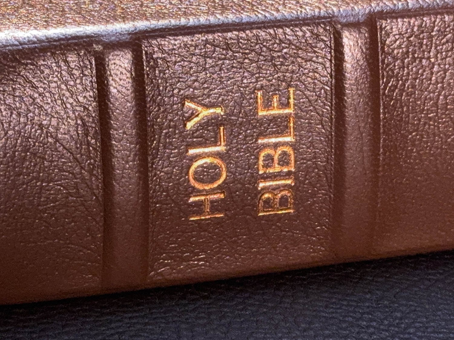ESV Single Column Journaling Bible, Pebbled Brown Goatskin Leather, 4 Ribbons
