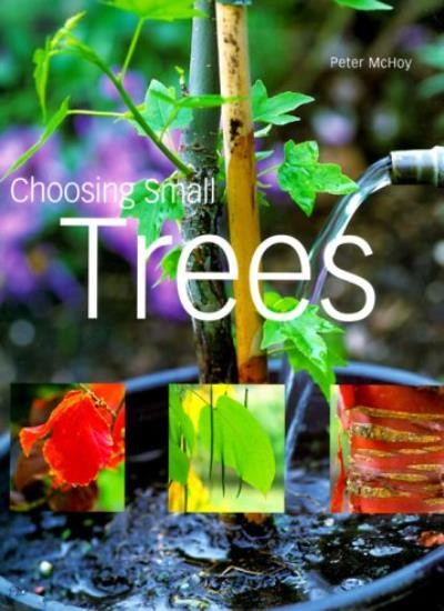 Choosing Small Trees By Peter McHoy