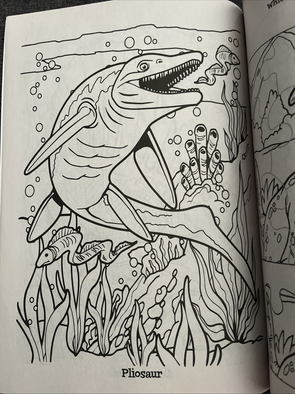 Dino Rawer! Dinosaur Coloring & Activity Book Dinosaurs to Color T-Rex