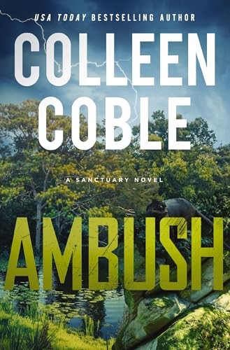 Ambush A SmallTown Romantic Su – GOOD
