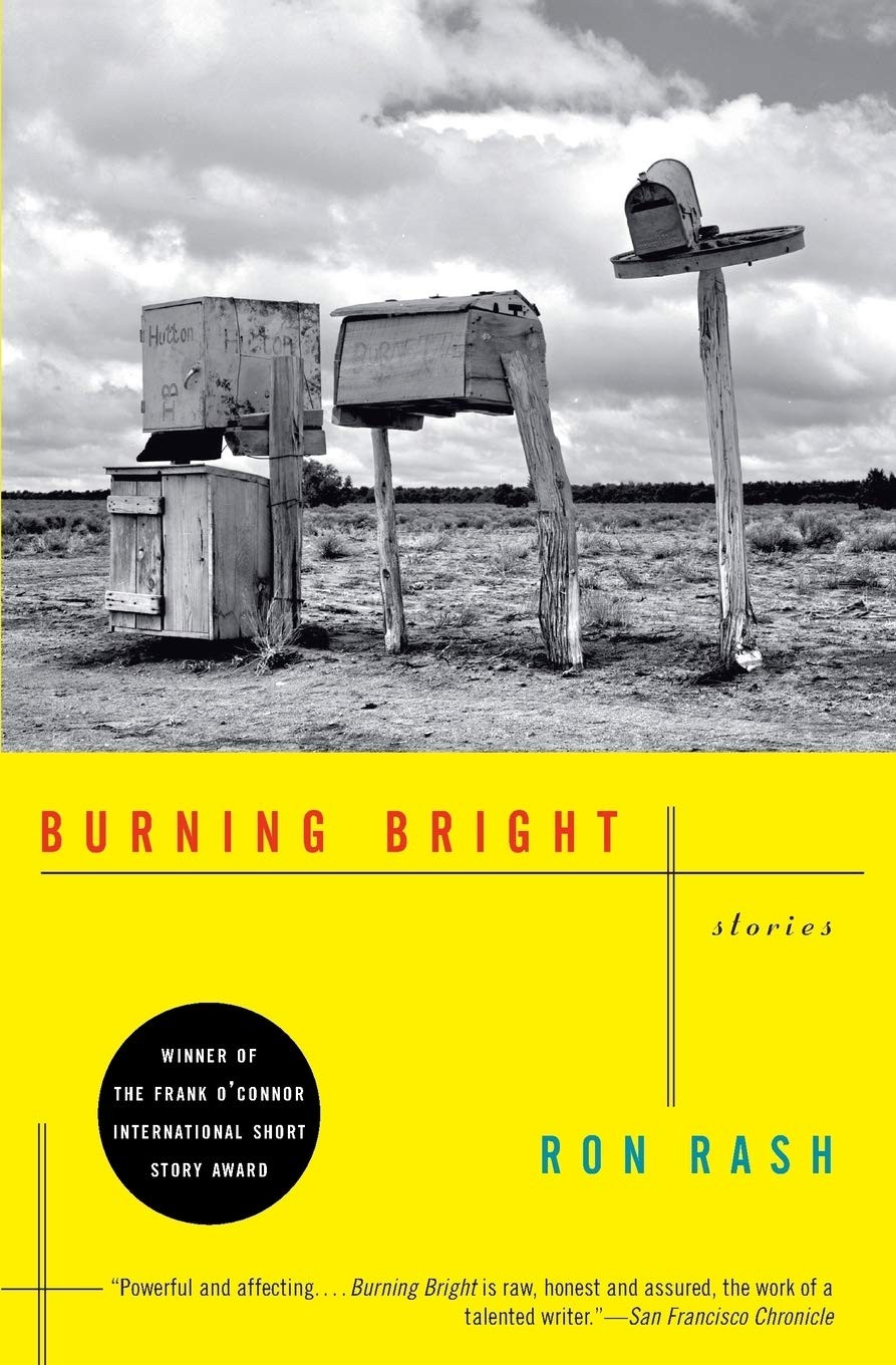 Burning Bright: Southern Gothic Stories – Dark Beauty and Violence from Ap…