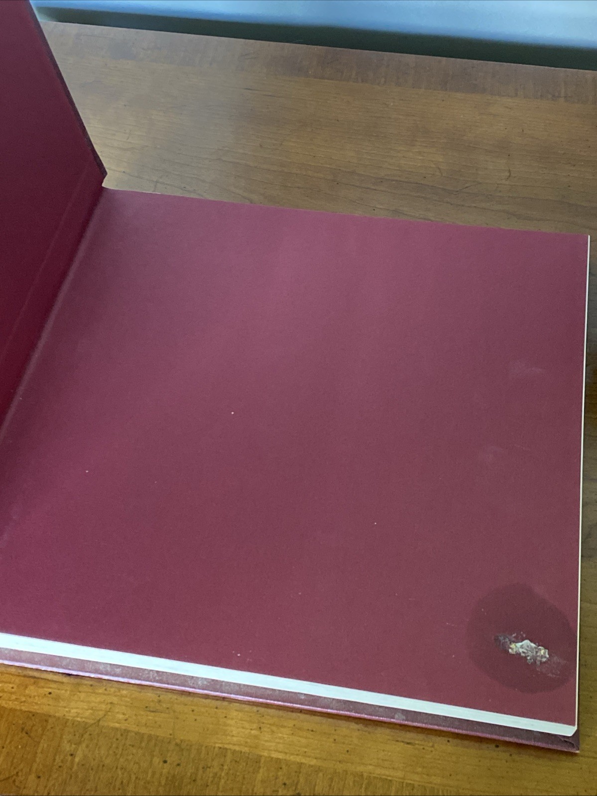 Ludwig Van Beethoven Bicentennial Edition Book 1770-1970 Hardcover Illustrated