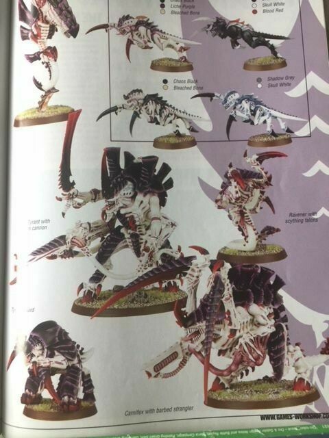 White Dwarf Warhammer Lizardmen Empire 40K Tyranid (July 2005 No.306) Magazine)