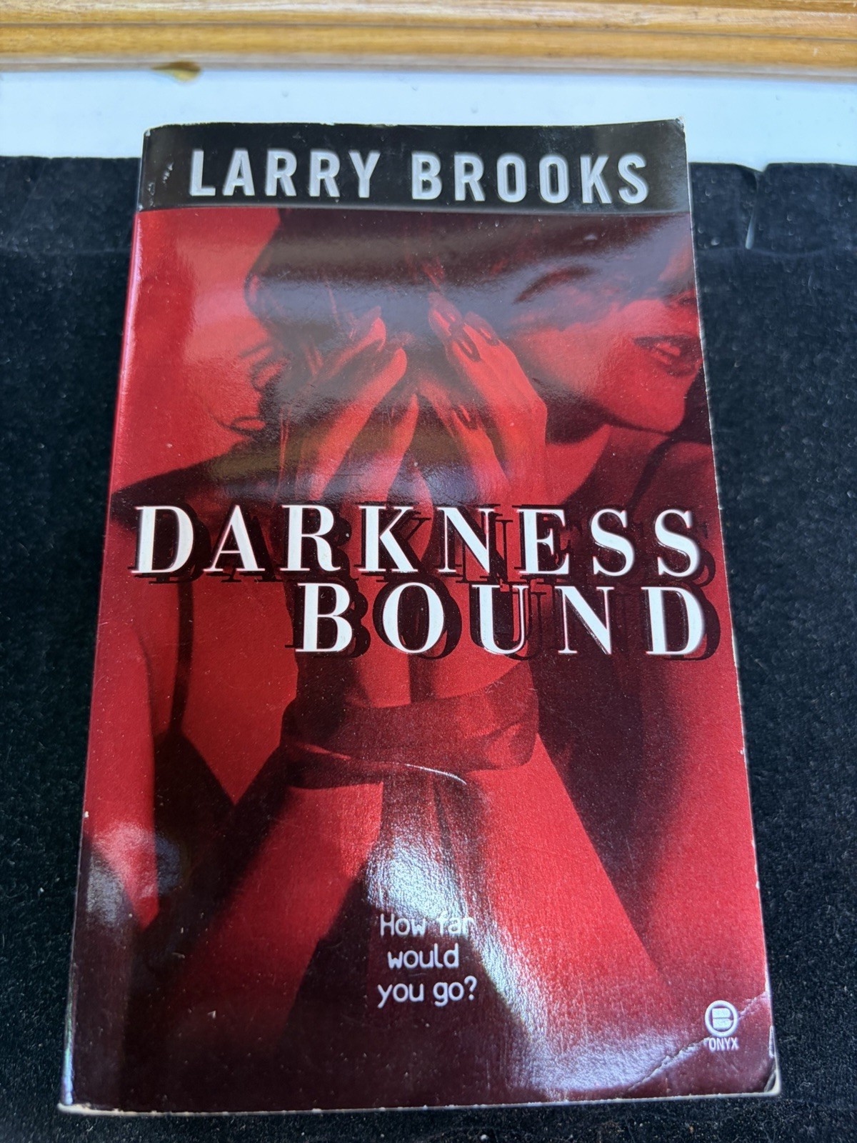 Darkness Bound by Larry Brooks 2000 1st Print Onyx Paperback