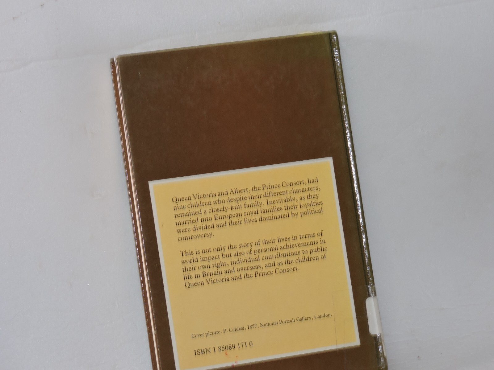 Queen Victoria’s Children by John Van der Kiste (Library Binding)