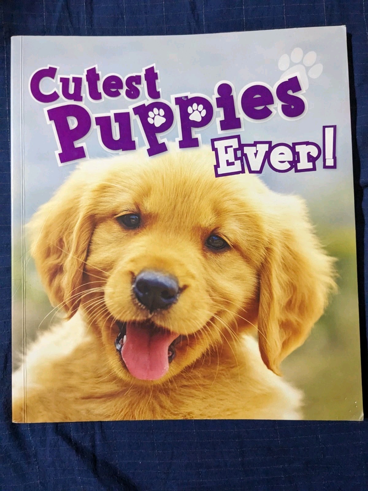 Cutest Puppies Ever!, Paperback, QEB Publishing Inc., Picture Book, Ages 4-8