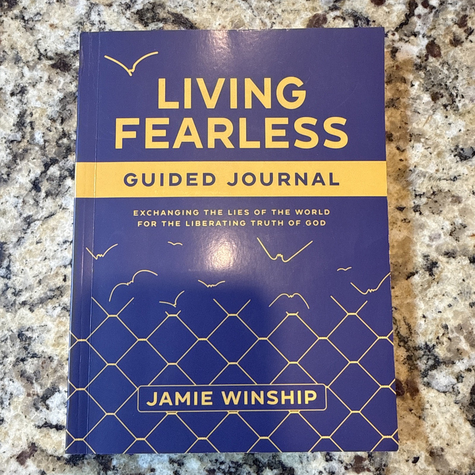 Living Fearless Guided Journal: Excha…, Jamie Winship