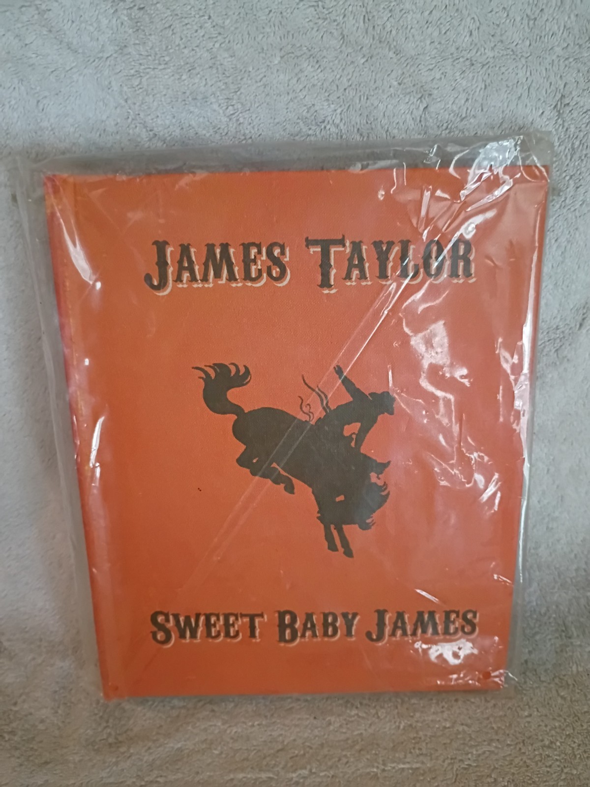 Sweet Baby James : A Pop-Up Lullaby by James Taylor Hardcover