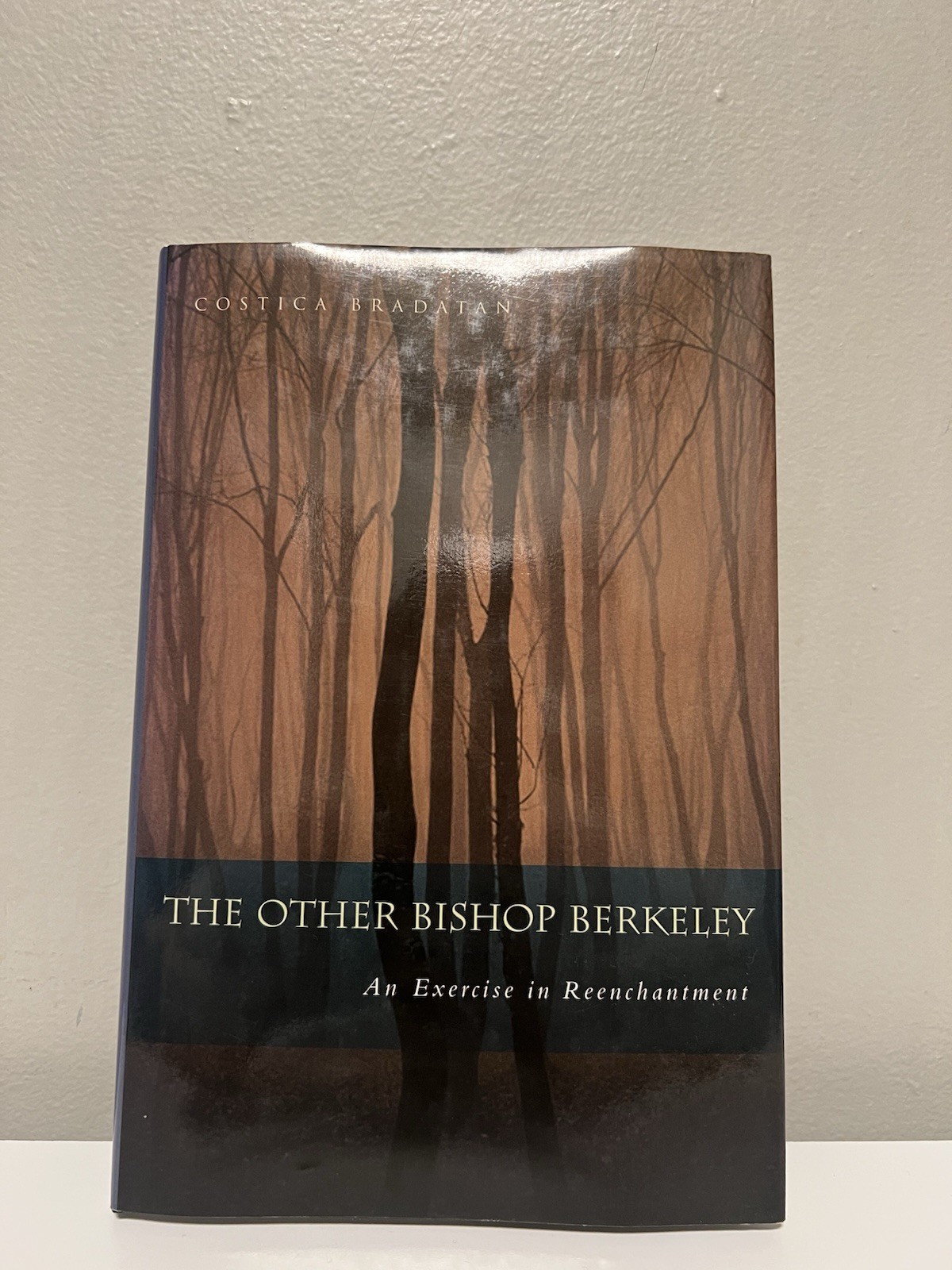 The Other Bishop Berkeley: An Exercise in Reenchantment by Costica Bradatan
