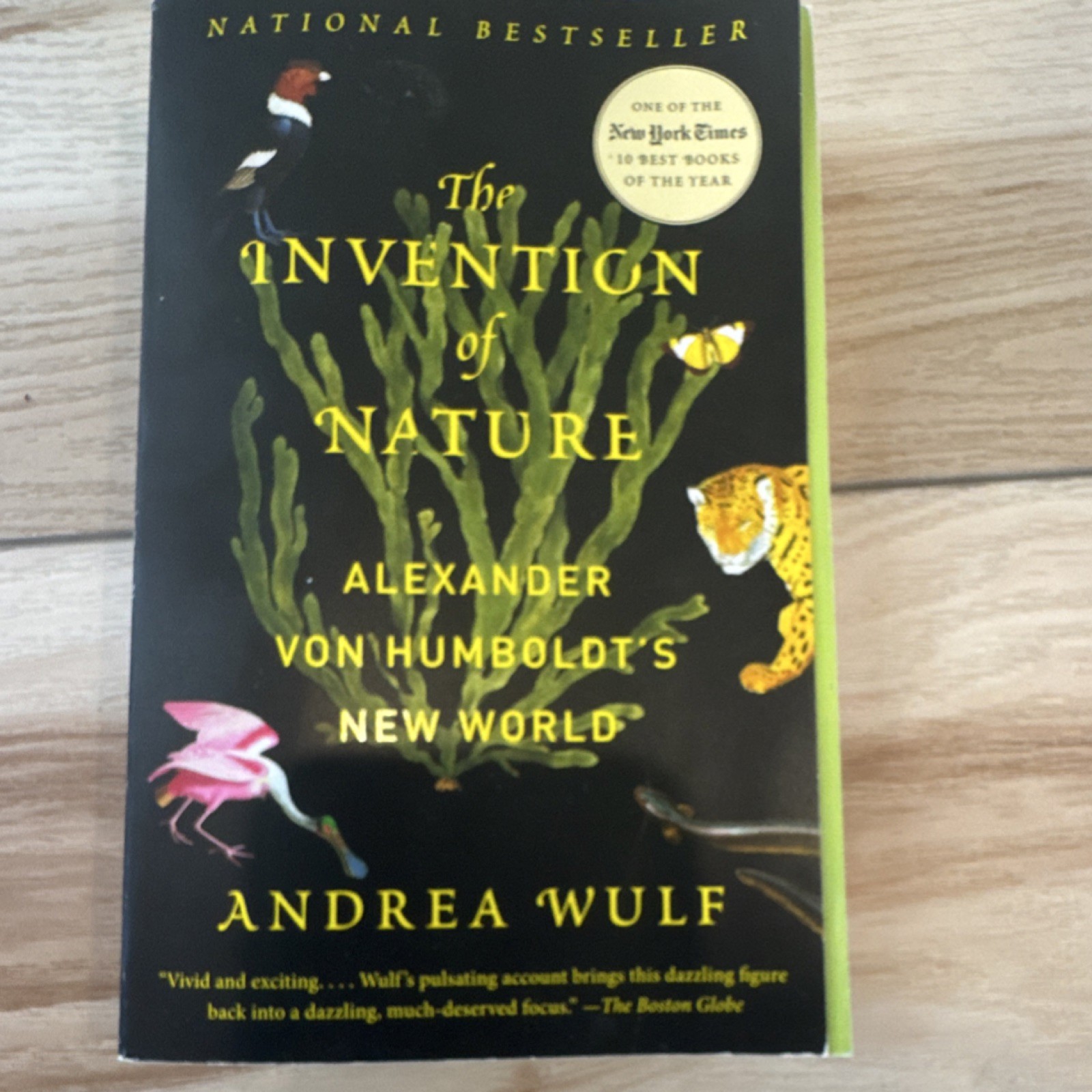 The Invention of Nature by Andrea Wulf Paperback Natural History Explorer Book