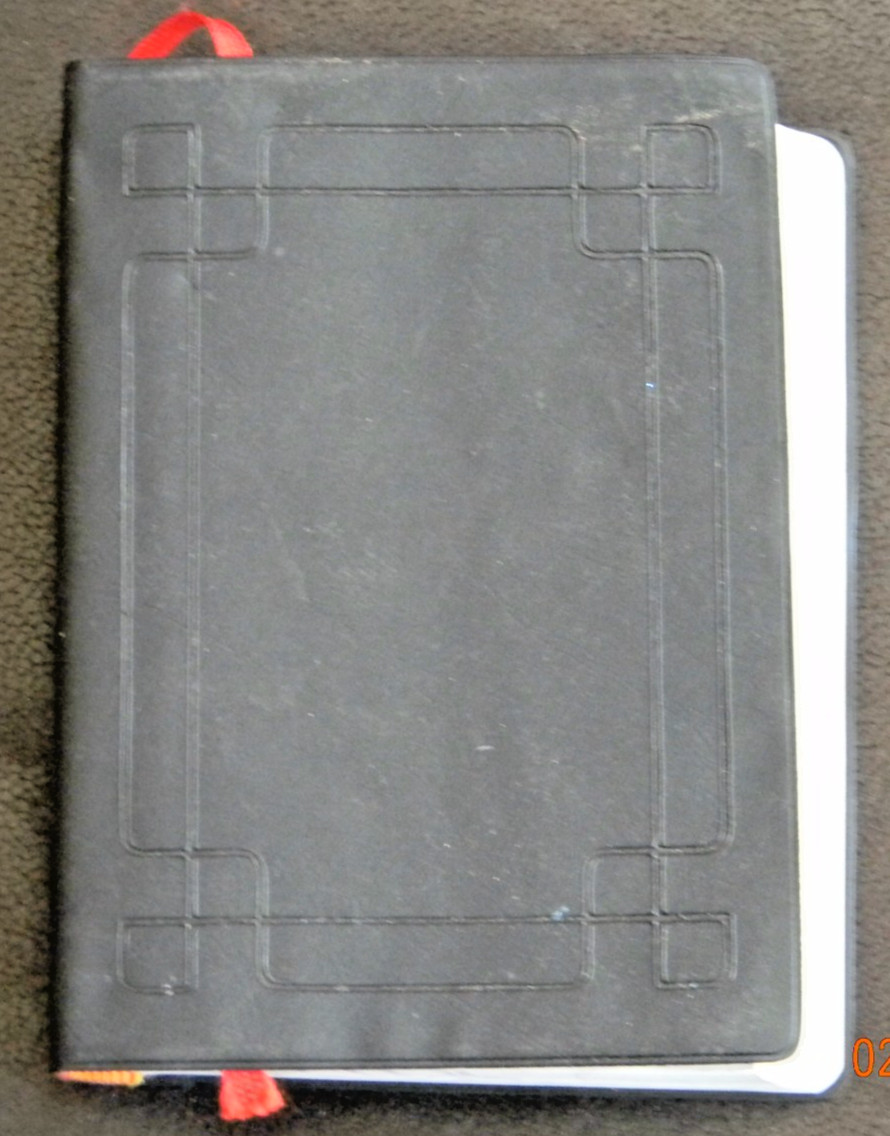 Holy Bible in Chinese; (I don’t know for sure )(Chinese Edition)