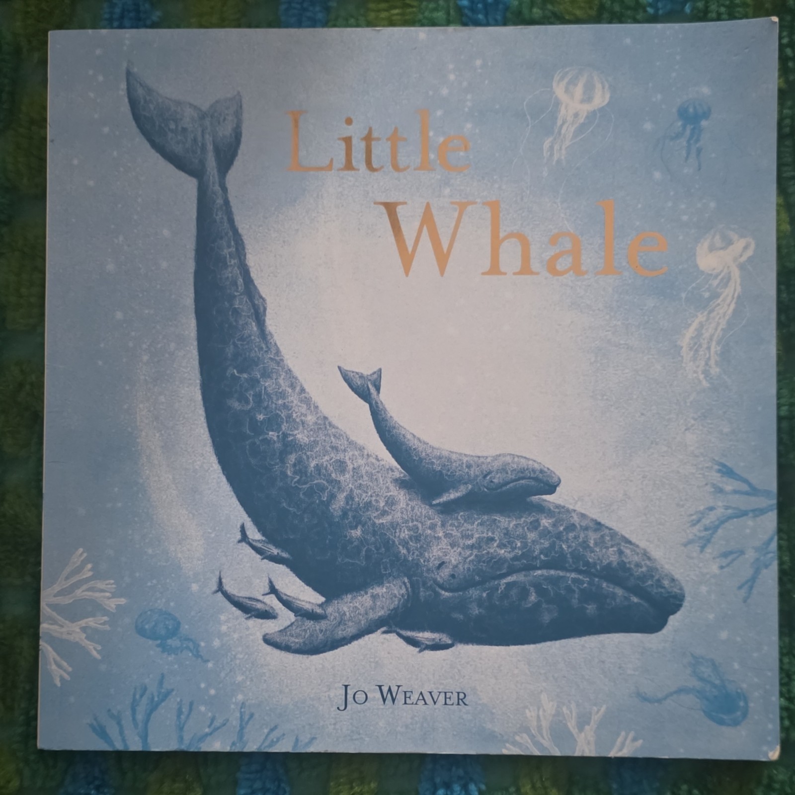 Little Whale by Jo Weaver Paperback Picture Book Animals Marine Life Ages 4-8