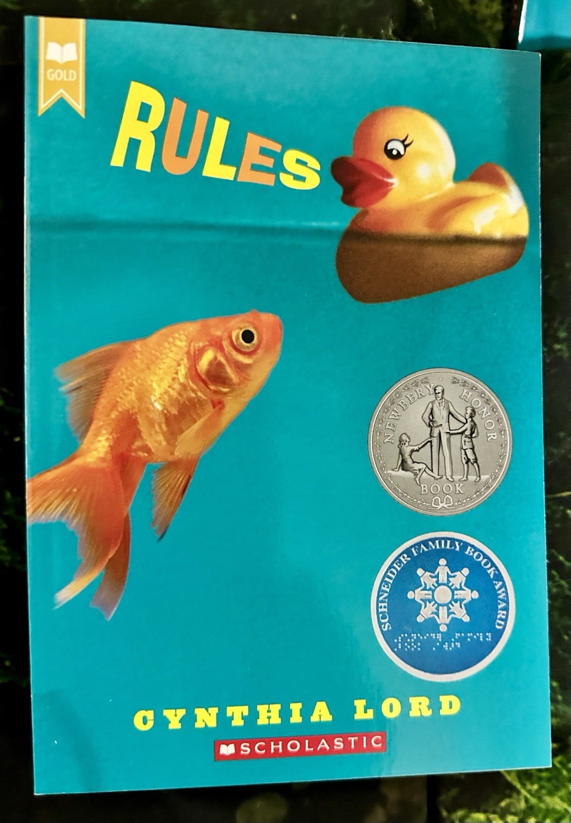 Classroom Set of 22 NEW Books Rules by Cynthia Lord Paperback Ages 9-12