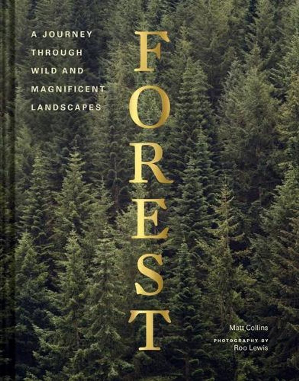 Forest: Walking Among Trees by Matt Collins (English) Hardcover Book