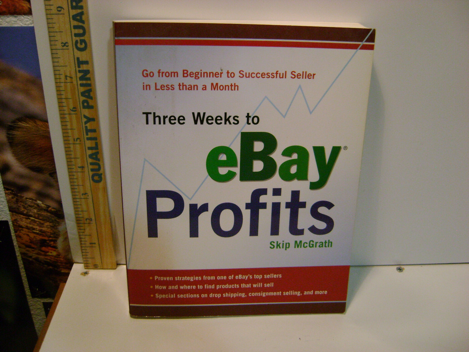 THREE WEEKS TO EBAY PROFITS : Go from Beginner to Successful Seller…
