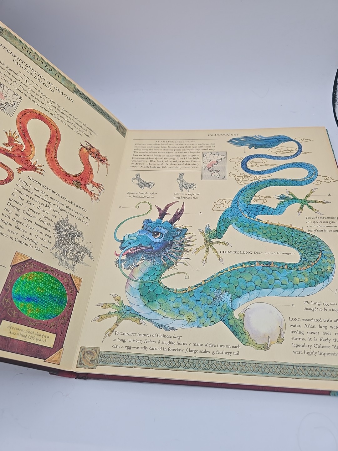 Ologies Ser.: Dragonology : The Complete Book of Dragons by Ernest Drake