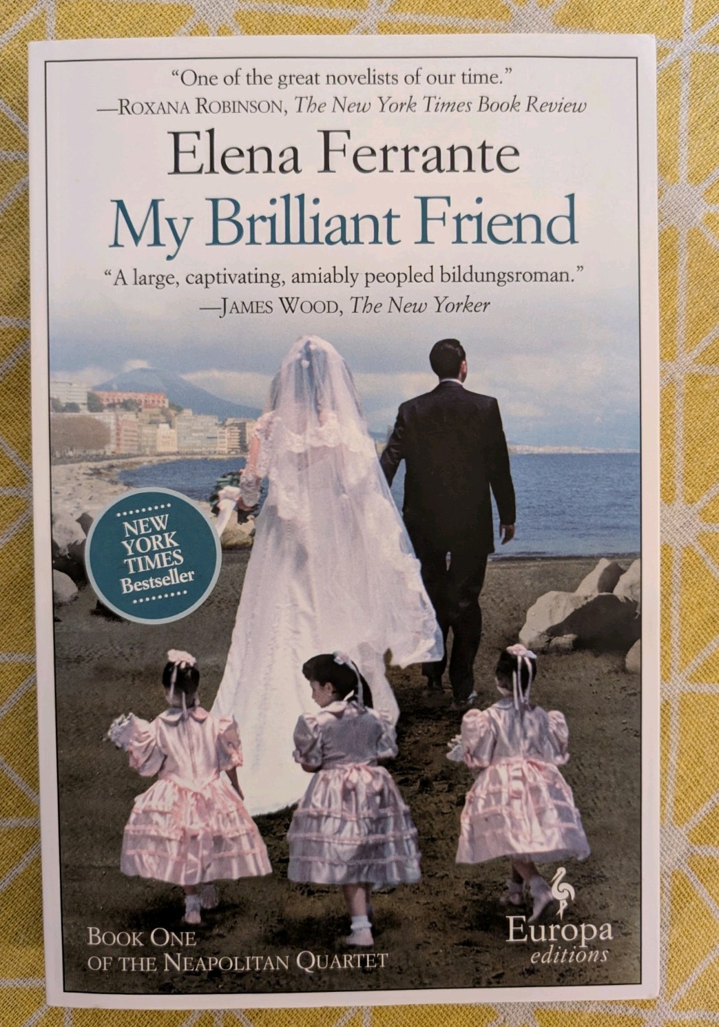 My Brilliant Friend by Elena Ferrante Trade Paperback 2023 Like New Used
