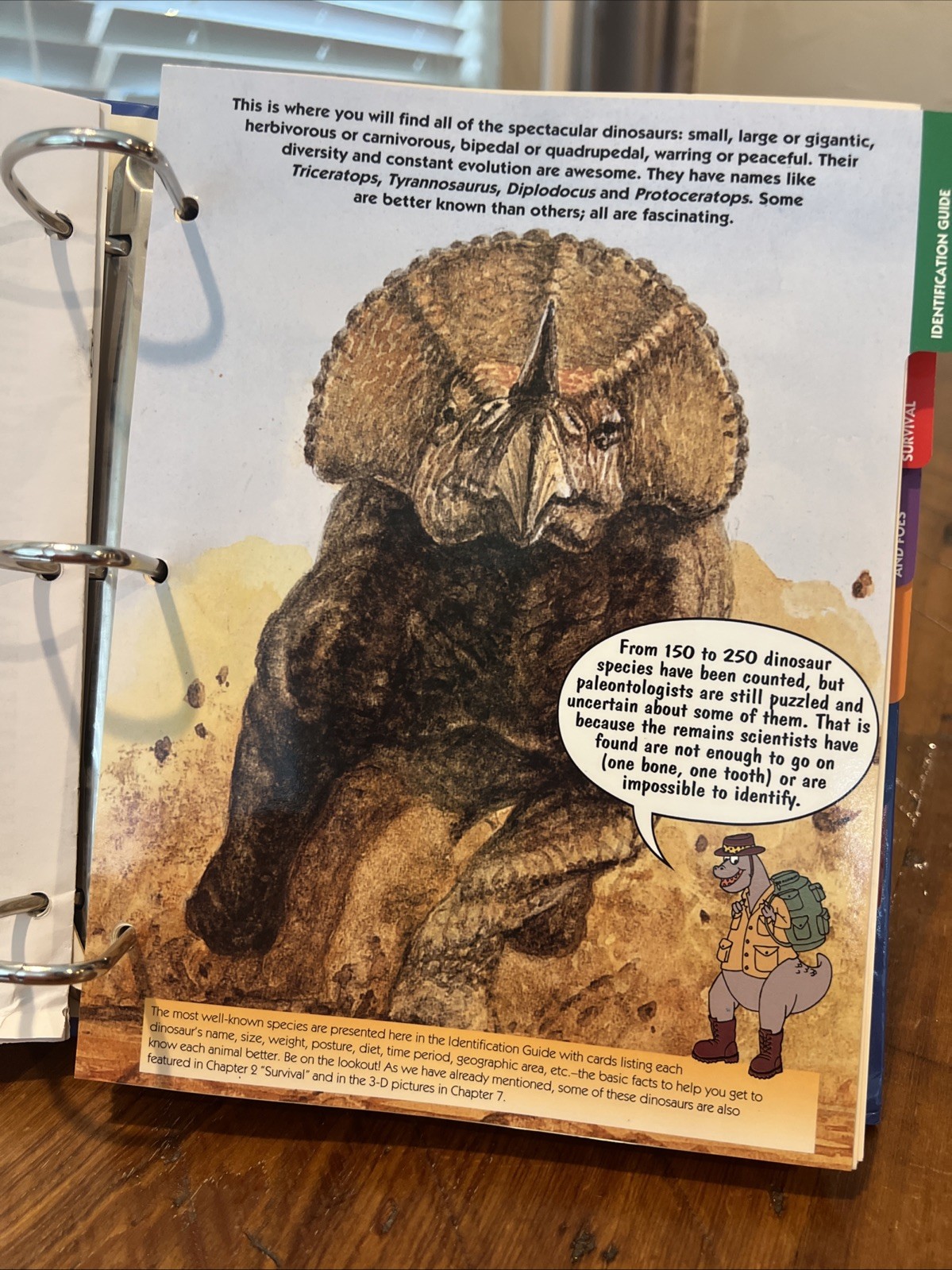 Dinosaur Cards By Collier’s Publication 1994. 3 Ring Binder