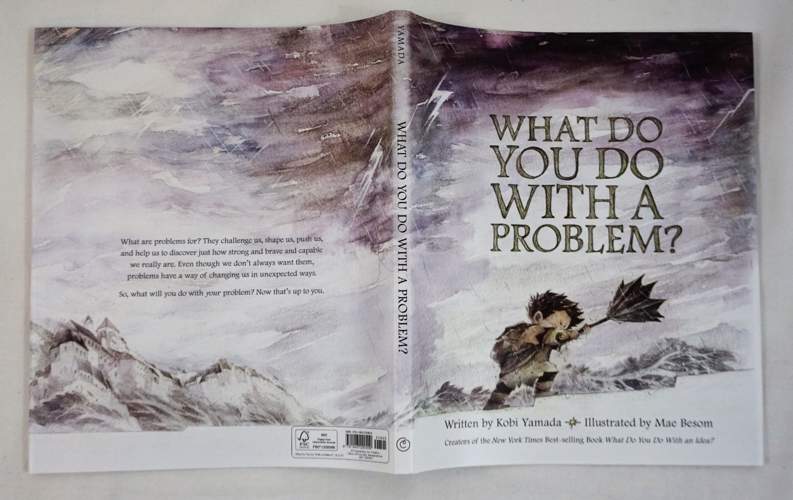 What Do You Do with a Problem? by Kobi Yamada 2016 Hardback 9781943200009