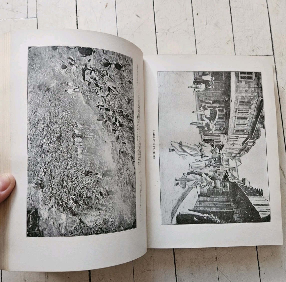 1902 * Signed THE VOLCANO’S DEADLY WORK : From The Fall Of POMPEII to ST. PIERRE