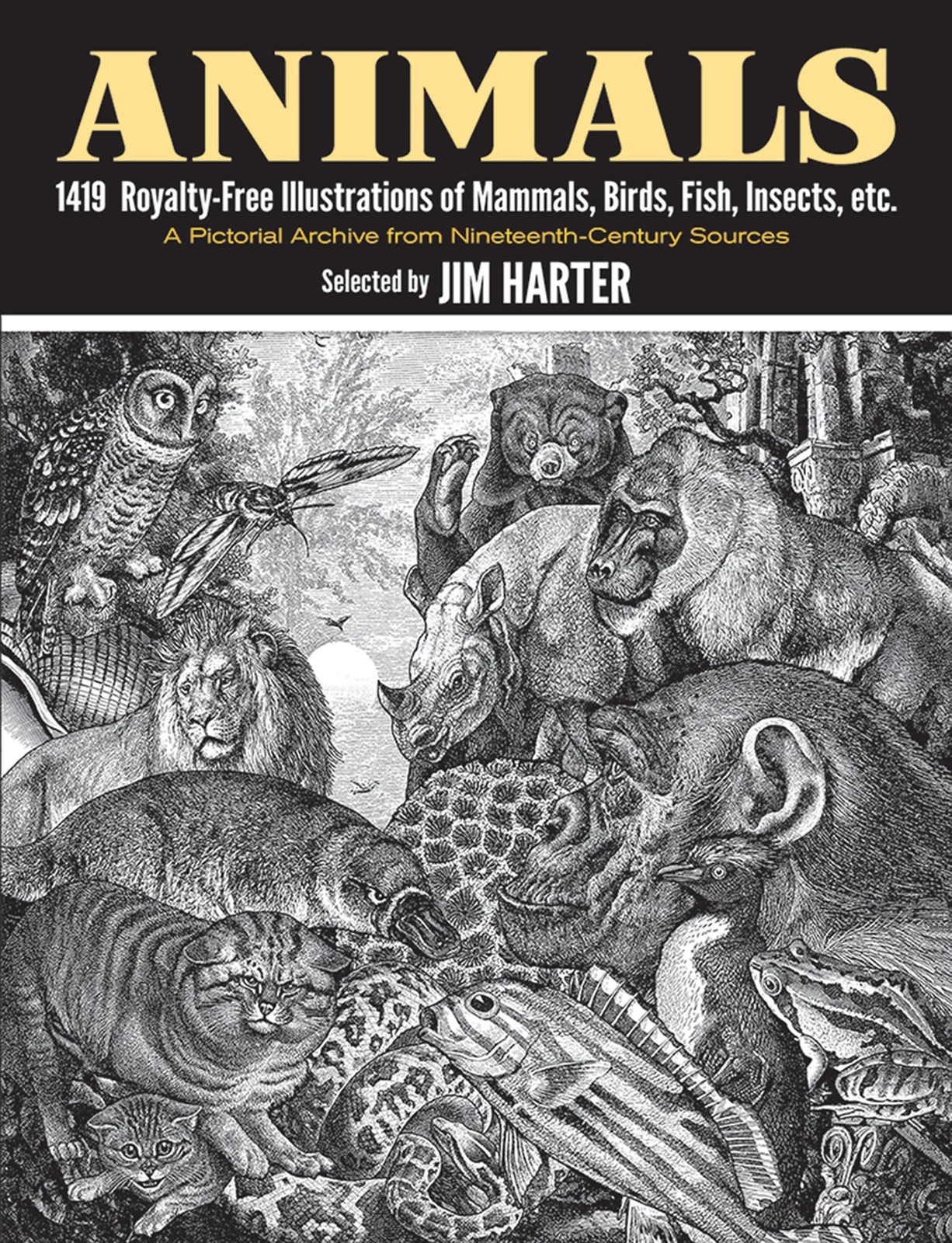 Animals: 1419 Royalty-Free Illustrations of Mammals, Birds, Fish, Insects, e…