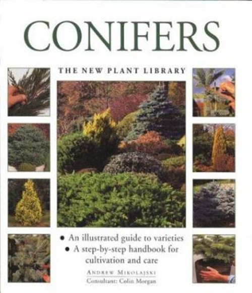 Conifers Paperback Peter, Mikolajski, Andrew McHoy
