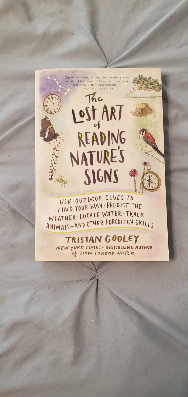 The Lost Art of Reading Nature’s Signs: Hiking Outdoors Bushcrafting Navigation