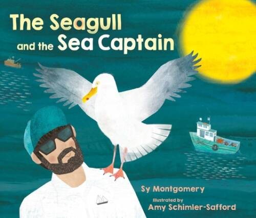 The Seagull and the Sea Captain – Hardcover By Montgomery, Sy – GOOD