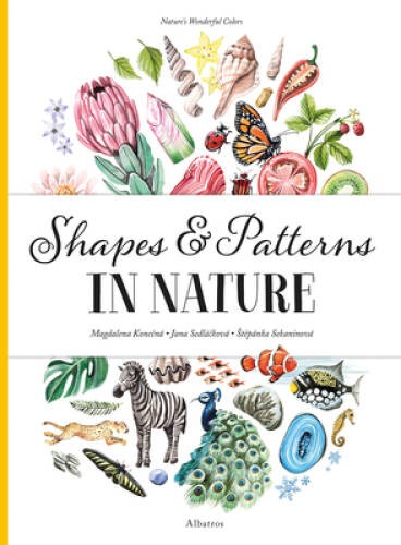 Shapes and Patterns in Nature (Natures Wonderful Colors) – Hardcover – GOOD