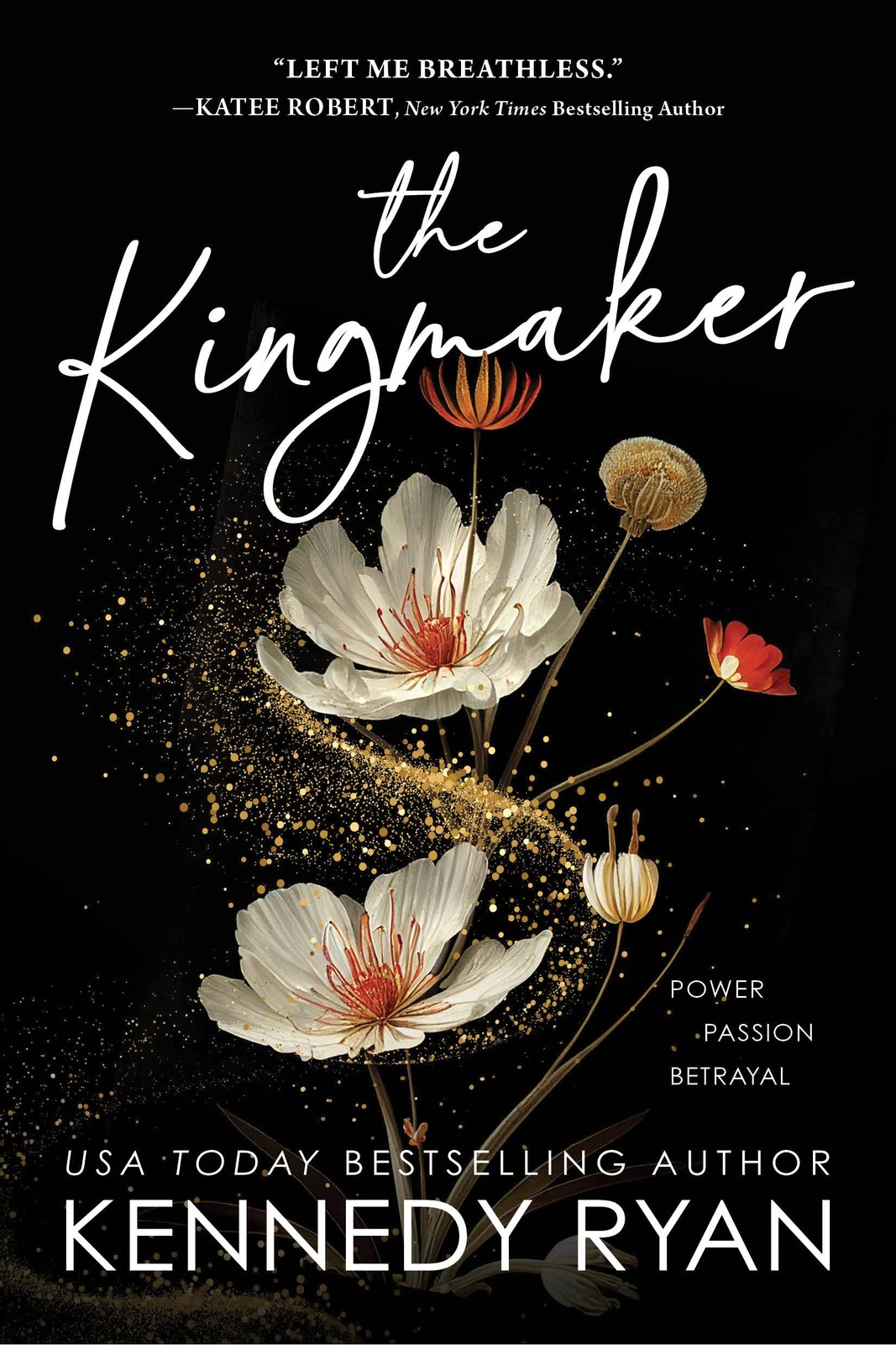 The Kingmaker: A Slow Burn Forbidden Romance with Ambition and Activism (All…