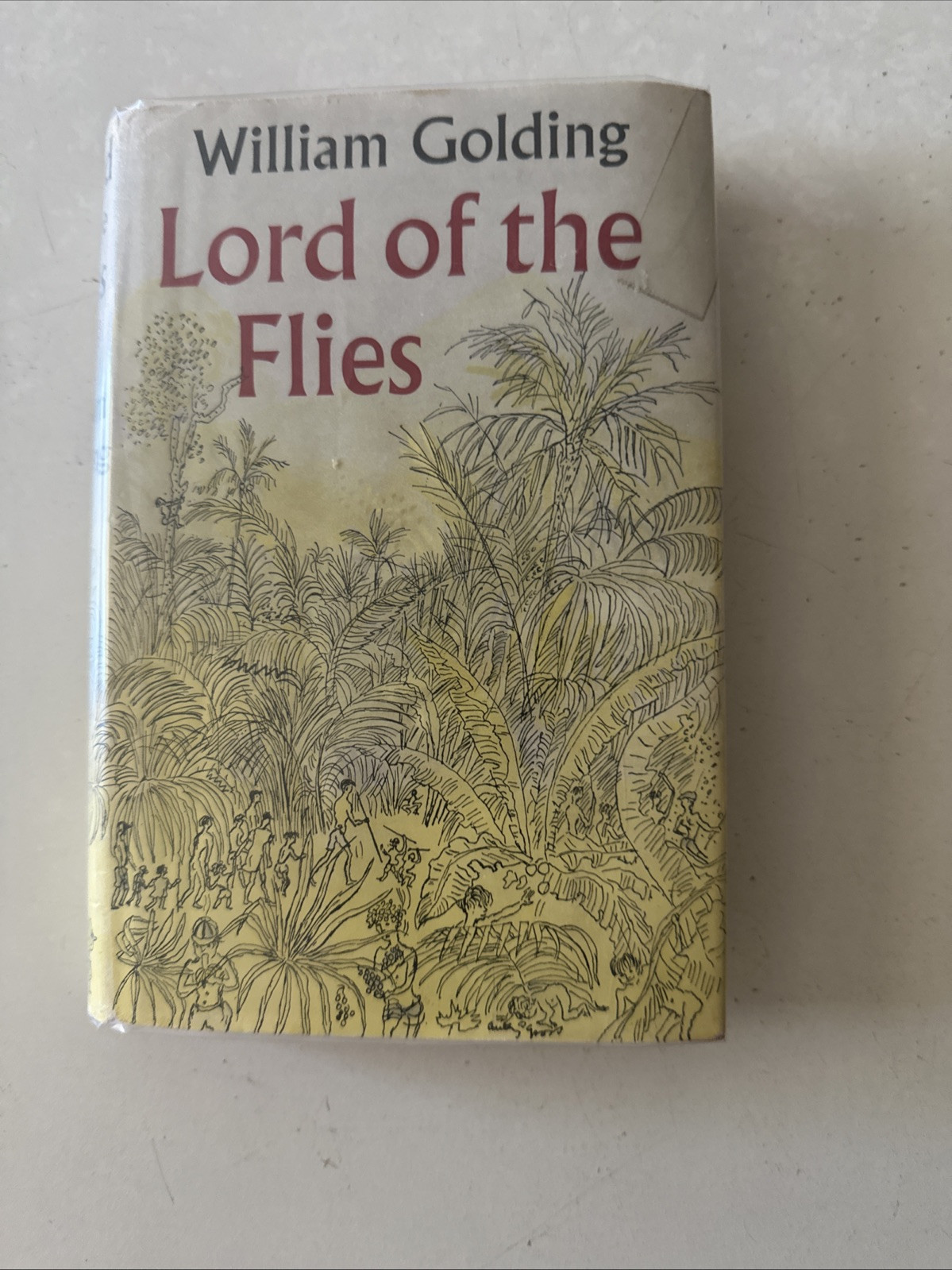 RARE Lord of the Flies William Golding 11th Impression Hardcover Dustjacket 1971