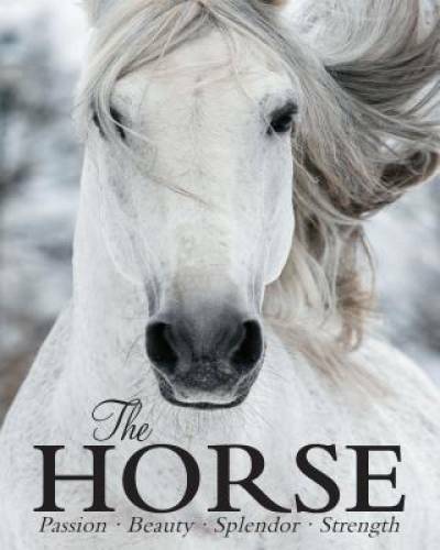 The Horse – Hardcover By Parragon Books – GOOD