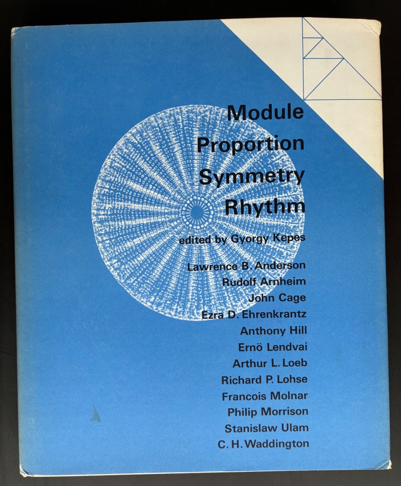Module Proportion Symmetry Rhythm, Gyorgy Kepes, Editor, 1966 Essays HC/DJ