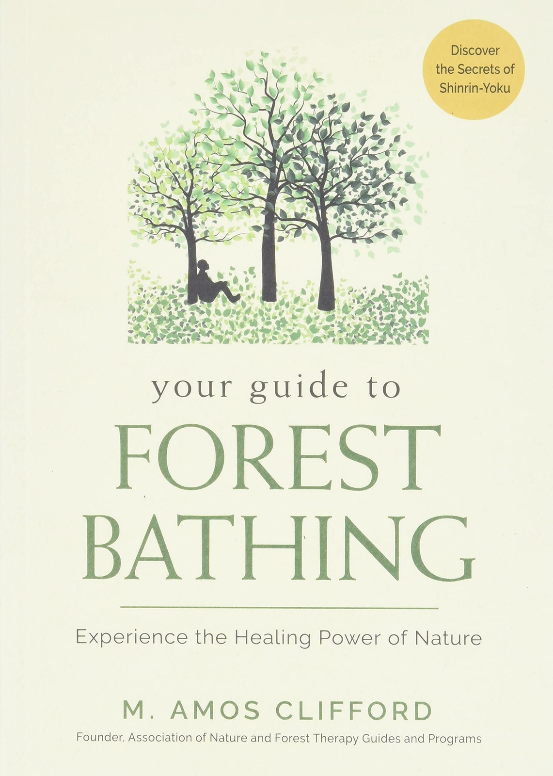 Your Guide to Forest Bathing: Experience the Healing Power of Nature