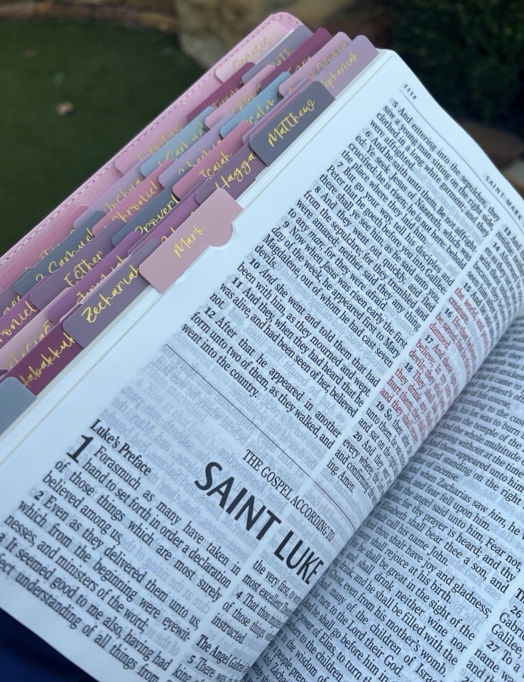 Pink KJV Bible with Ombre Tabs Giant Print Christian Gift Women Mom
