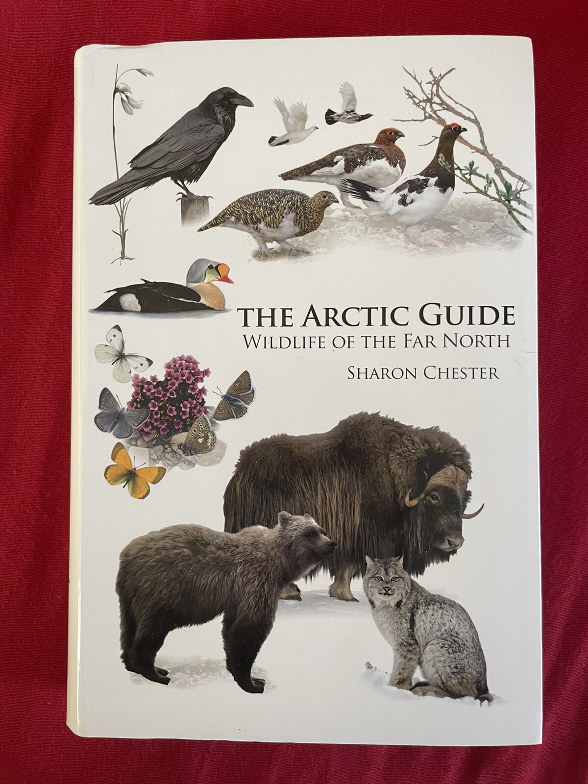 The Arctic Guide Wildlife Of The Far North