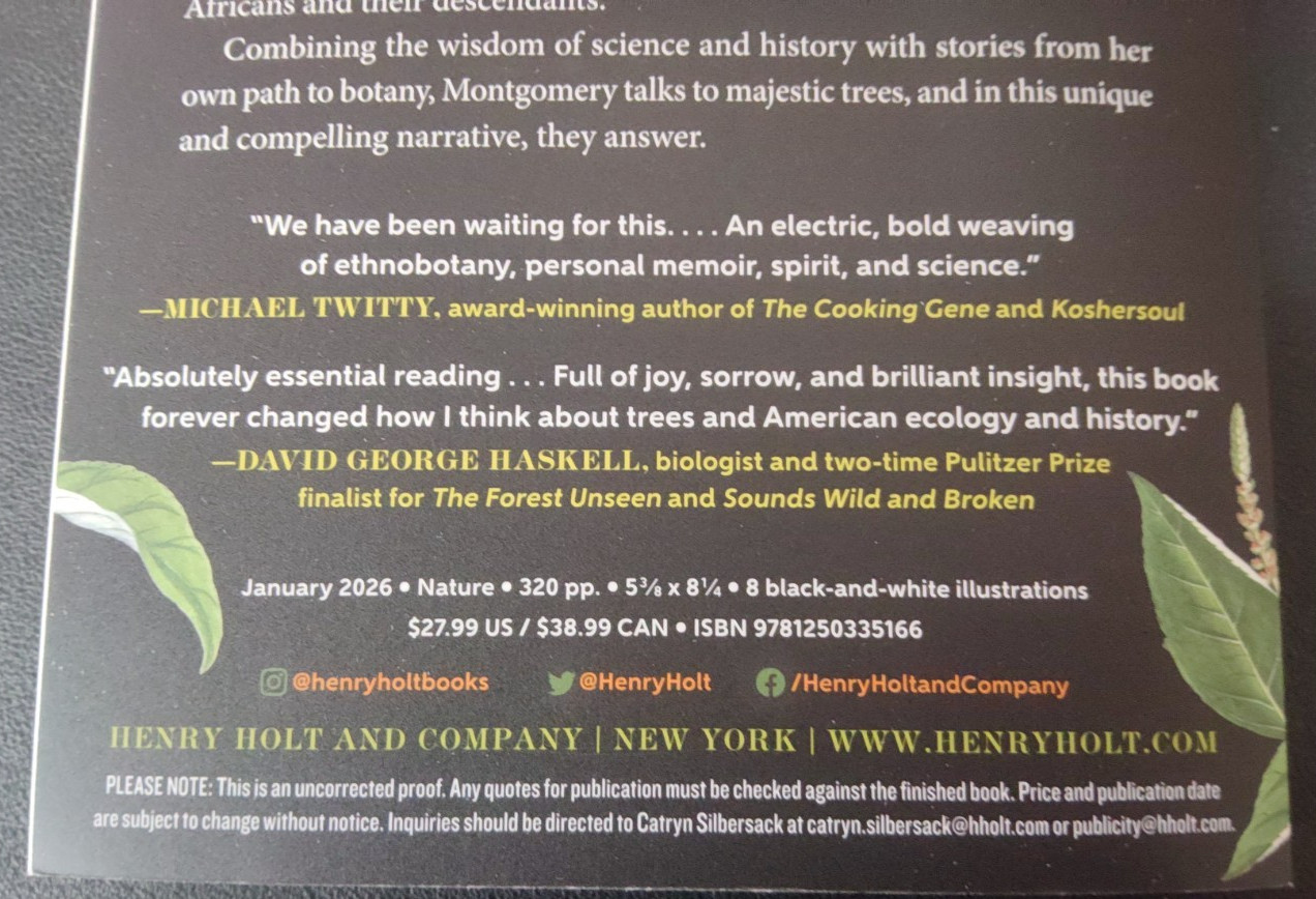 When Trees Testify by Beronda L. Montgomery ARC 1/26 Paperback