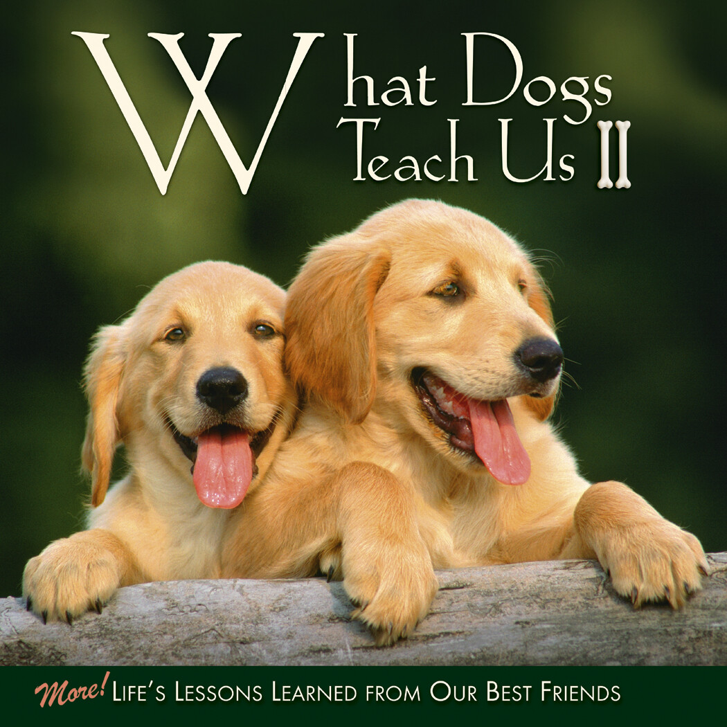 What Dogs Teach Us II Hardcover Gift Book (Brand New) 5.5″ x 5.5″ (free ship)