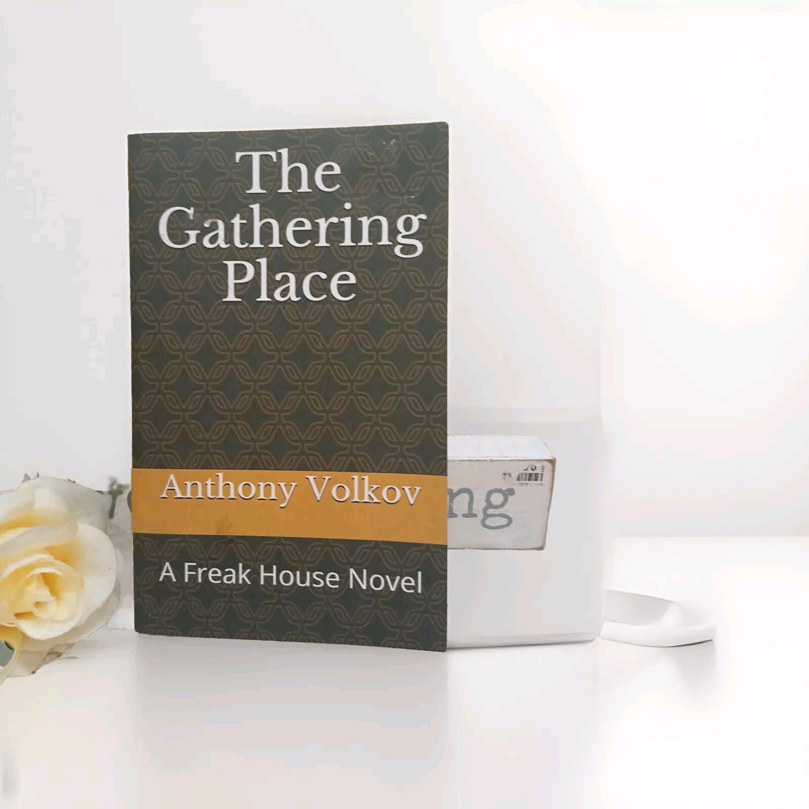 THE GATHERING PLACE: A FREAK HOUSE NOVEL By Anthony Volkov **BRAND #352