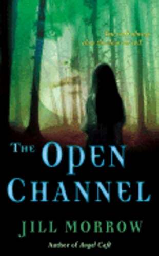 The Open Channel by Jill Morrow: Used