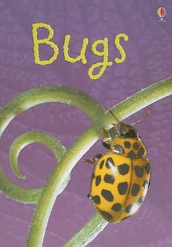 Bugs (Usborne Beginners) – Hardcover By Bowman, Lucy – GOOD